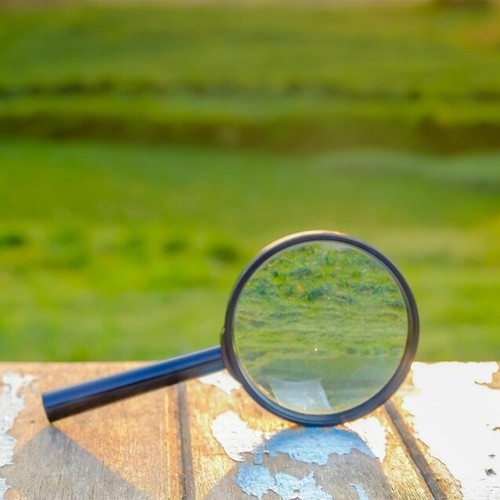 Large powerful magnifying - powerful,